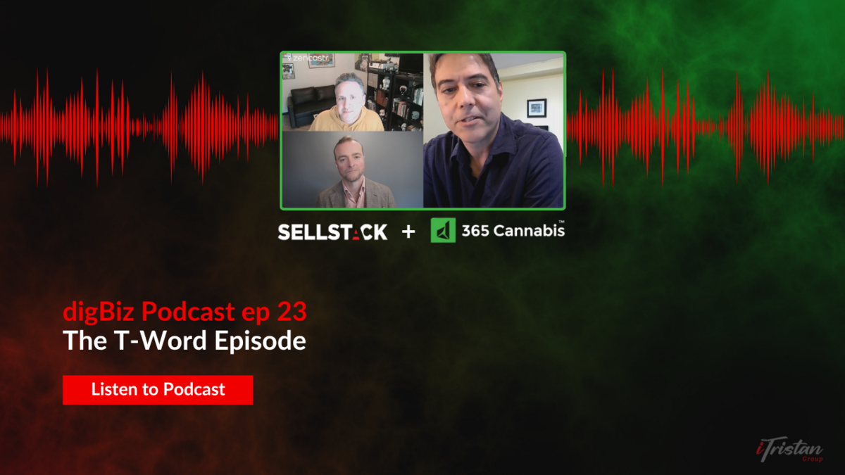 digBiz Podcast ep 23 The T-Word Episode